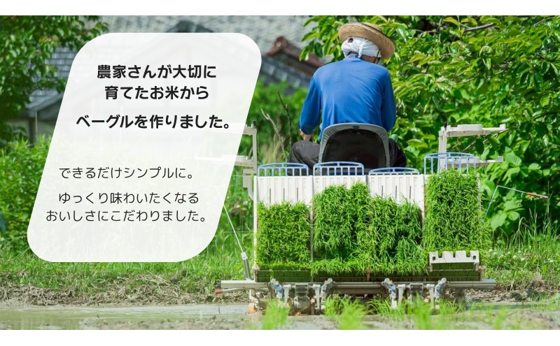 ベーグル 生米ベーグル（ベーグル４種＋まるベーグル６個入り２種） 生米ベーグルセット ベーグル詰め合わせ 朝食 冷凍 お米 生米 あいちのかおり 日進産