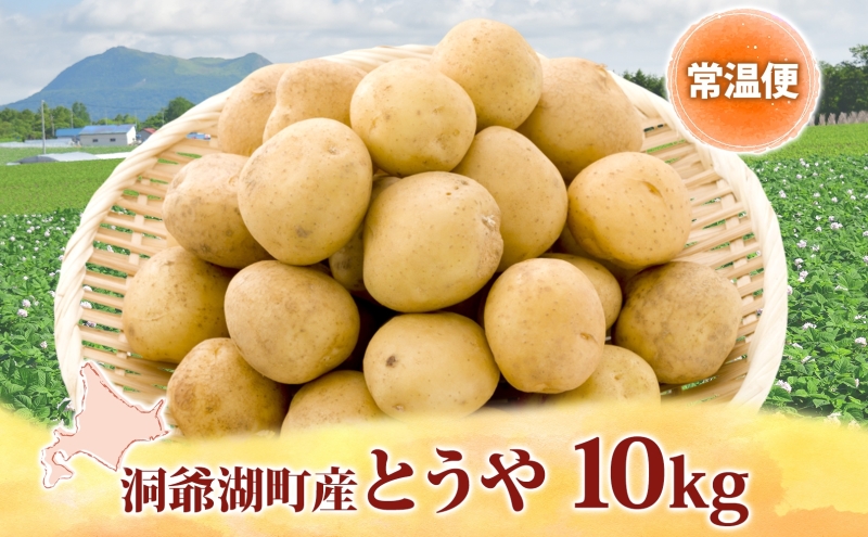 北海道洞爺湖町のふるさと納税 【セゾン限定】じゃがいも とうや 10kg  9月上旬～12月中旬までお届け ジャガイモ 芋 甘い なめらか しっとり ポタージュ カレー 調理 料理 煮込み料理 旬 季節 農作物 野菜 根菜 北海道 とうや湖農業協同組合