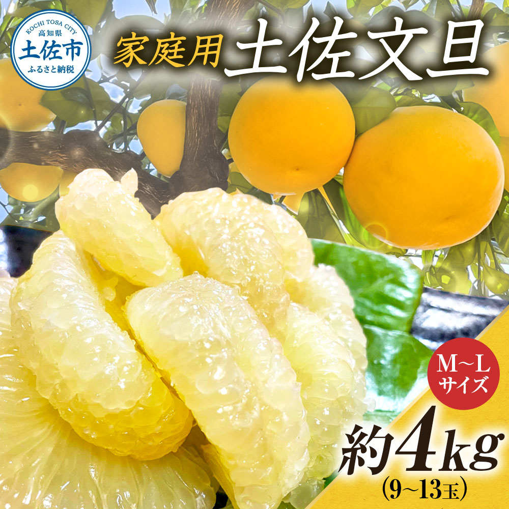 【高知県土佐市】文旦 約4kg M〜Lサイズ 9〜13玉 ぶんたん ブンタン フルーツ 柑橘 みかん 果物 くだもの 柑橘類 デザート 家庭用 プレゼント ギフト お取り寄せ 国産 常温 配送