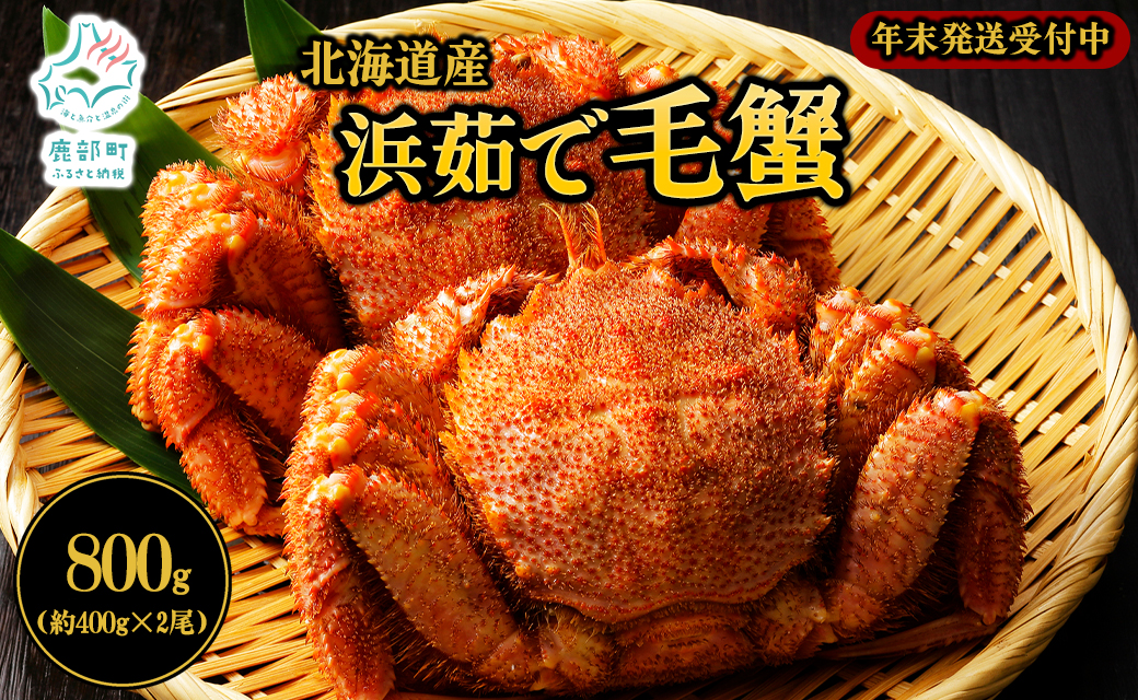 【北海道鹿部町】【北海道産】 ボイル毛蟹 約800g(400g前後×2尾)蟹 カニ 冷凍 【2025年11月下旬発送】