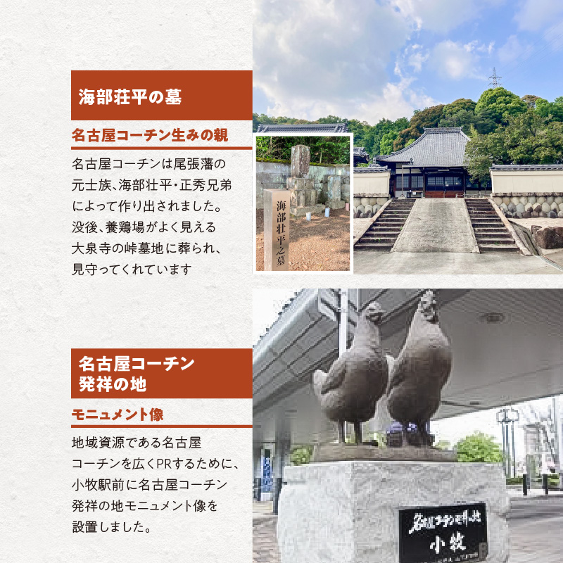 愛知県小牧市のふるさと納税 名古屋コーチン焼鳥　5種20本セット（もも・むね・手羽中・皮・つくね）[001T02]