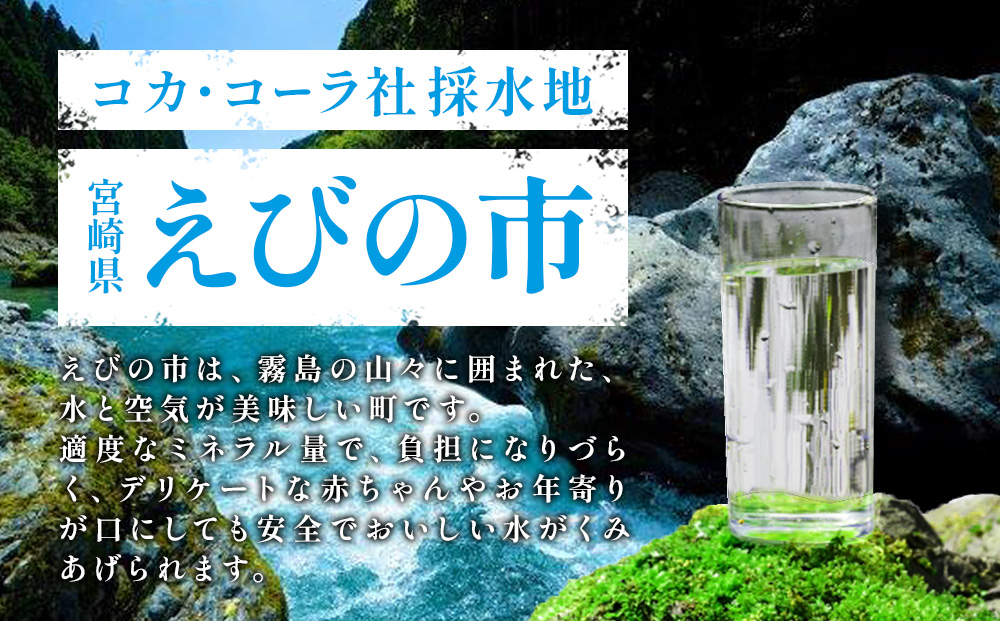 宮崎県えびの市のふるさと納税 綾鷹 濃い緑茶 650ml PET【コカ・コーラ】ペットボトル 1ケース(24本) セット お茶 緑茶 抹茶 日本茶 茶葉 カテキン 内臓脂肪 皮下脂肪 健康 機能性表示食品 宮崎県 えびの市 送料無料