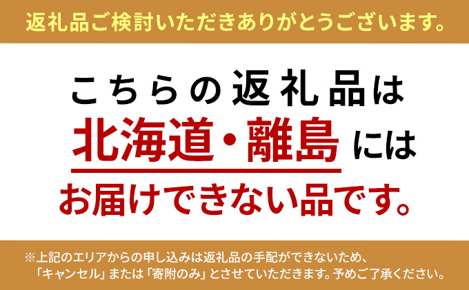 極線君記念モデル ブラシ 掃除 ステンレスブラシ 極線君 日進市 愛知県 ※配送不可:北海道、離島