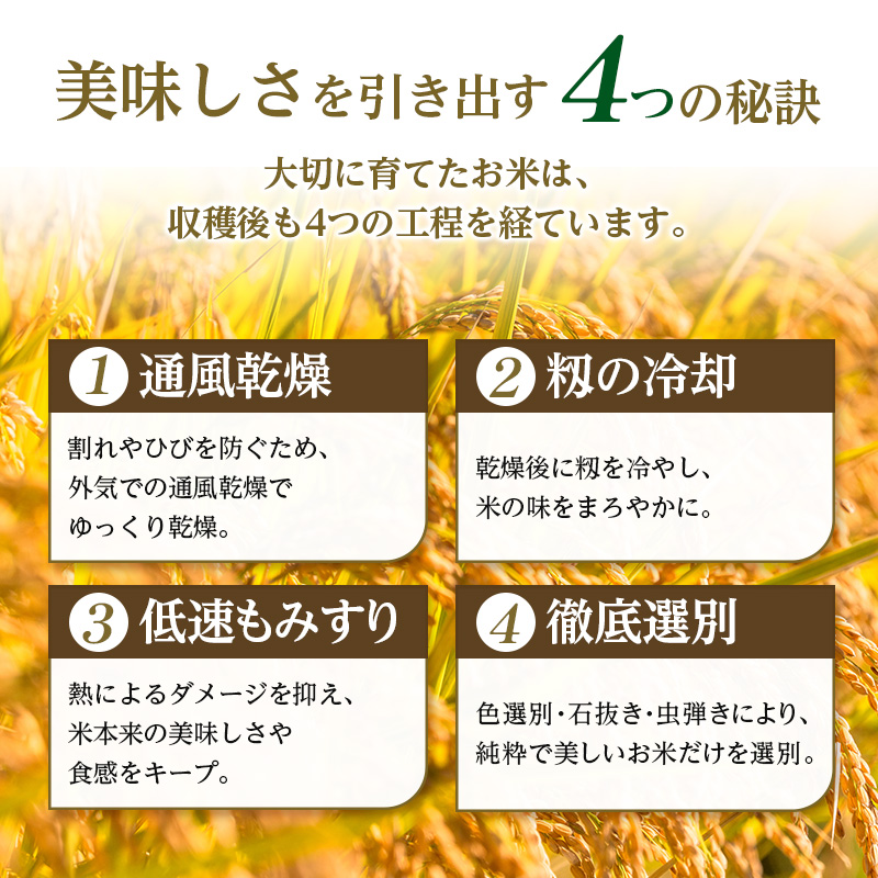 数量限定 新米 まっしぐら 玄米 30kg H.GREENWORK 令和7年産 米