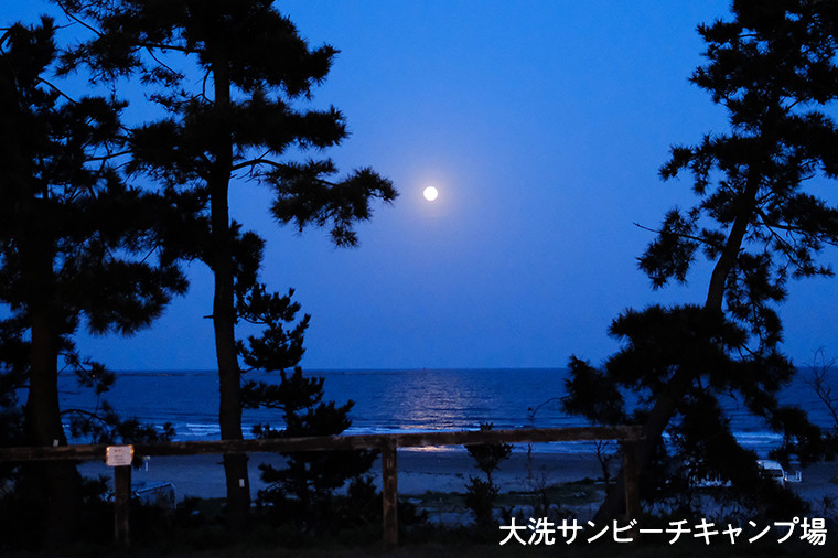 大洗 キャンプ場 クーポン券 6000円分（1000円×6枚） 大洗サンビーチキャンプ場 大洗キャンプ場 サンセット松川キャンプ場 チケット 利用券 アウトドア 旅行