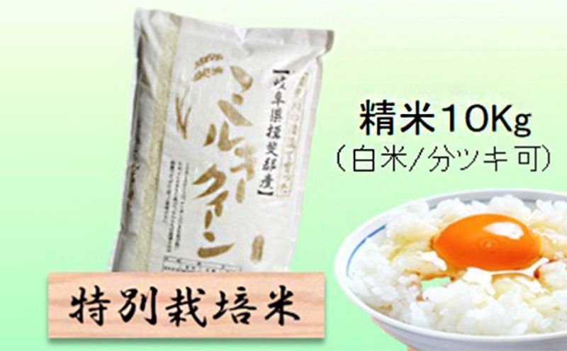 [令和7年産]特別栽培米 10kg[白米、7分ツキ](ミルキークイーン)