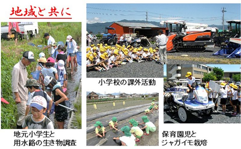 岐阜県池田町のふるさと納税 【令和7年産】特別栽培米 10kg【玄米】（ミルキークイーン）