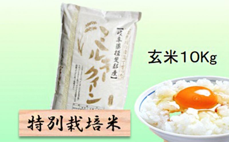 【令和7年産】特別栽培米 10kg【玄米】