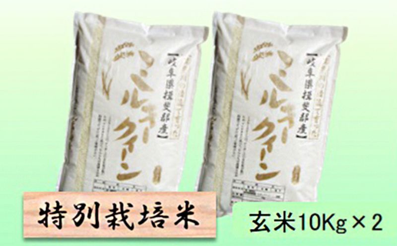 【令和7年産】特別栽培米 20kg【玄米】（ミルキークイーン）