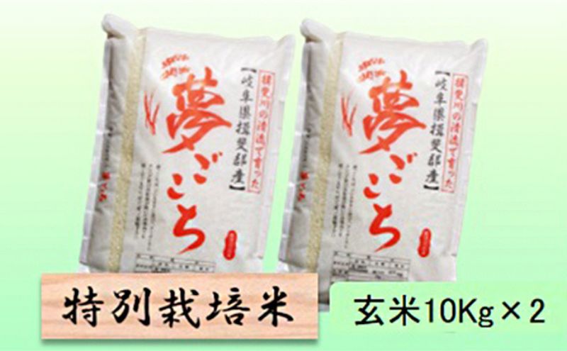 【岐阜県池田町】【令和7年産】特別栽培米 20kg【玄米】(夢ごこち)