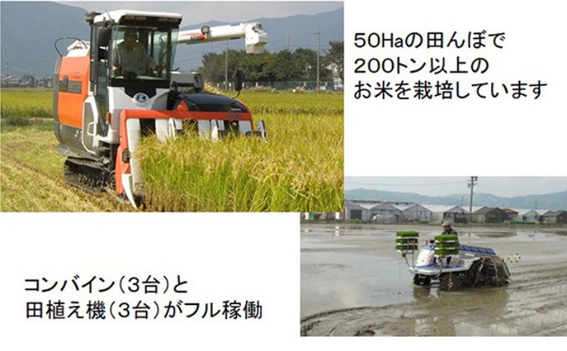 【令和7年産】特別栽培米 20kg【玄米】（ハツシモ）