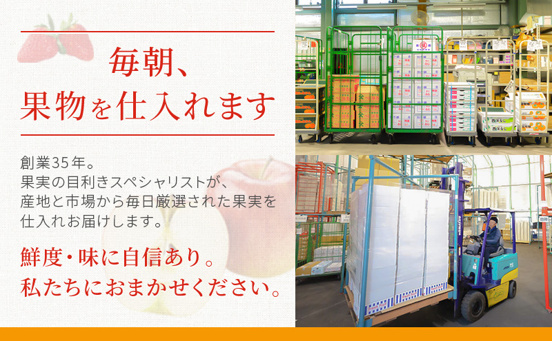 袋井市産フルーツ定期便 全2回【2月・いちご(紅ほっぺ) 3月・クラウンメロン】 静岡県 静岡 袋井市 袋井 メロン めろん イチゴ 苺 贈答 フルーツ 果物 くだもの 人気 2月連続 定期便
