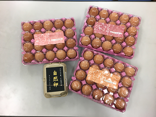 こだわり卵とつけだれのセット【約60個＋つけだれ2本】【K043W】