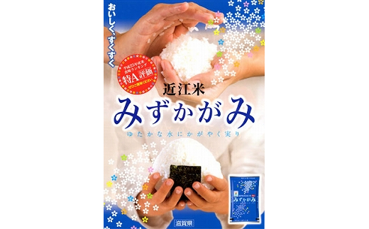 【令和7年産】環境こだわり米「みずかがみ」白米【10kg×1袋】【K074W】