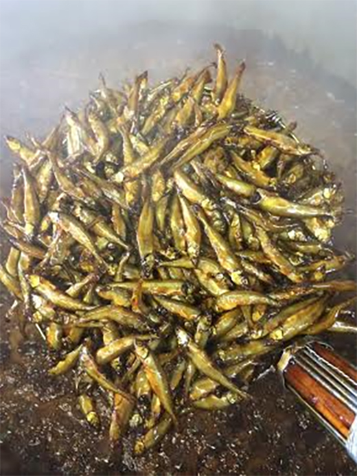 【淡海のふるさとの香り高い味】近江ふるさとの味セット(６種)【D003W】