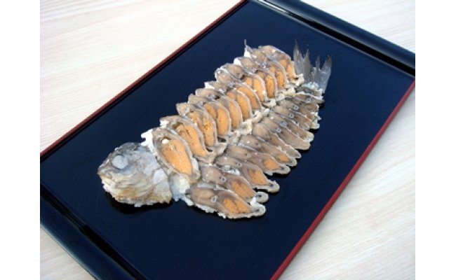 近江本にごろ　ふなずし　【160ｇ×1尾（スライス）】【AD02W】