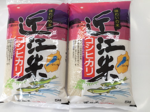 【滋賀県近江八幡市】【新米】【7年産】近江米こしひかり【10kg(5kg×2袋)】【T020W1】