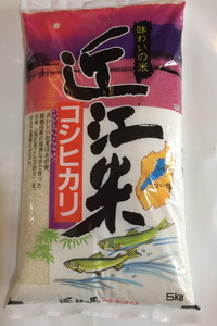 【滋賀県近江八幡市】【新米】【7年産】近江米こしひかり【5kg×1袋】【T019W1】