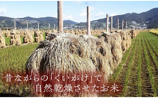 山形県南陽市のふるさと納税 【令和7年産 新米 先行予約】 【わら屋のお米】 特別栽培米 ひとめぼれ 5kg 《令和7年10月下旬～発送》 『おがわ藁農園』 米 白米 精米 ご飯 農家直送 山形県 南陽市 [2070-R7]