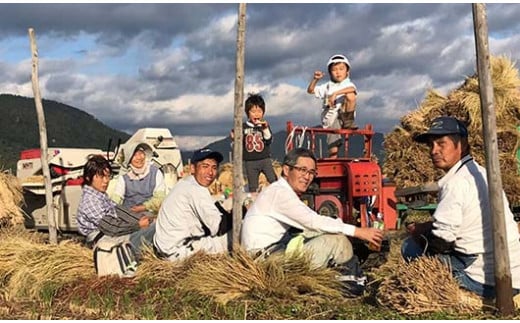山形県南陽市のふるさと納税 【令和7年産 新米 先行予約】 【わら屋のお米】 特別栽培米 ひとめぼれ 5kg 《令和7年10月下旬～発送》 『おがわ藁農園』 米 白米 精米 ご飯 農家直送 山形県 南陽市 [2070-R7]