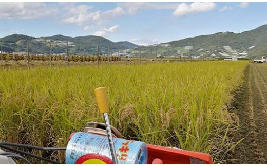 山形県南陽市のふるさと納税 【令和7年産 新米 先行予約】 【わら屋のお米】 特別栽培米 ひとめぼれ 5kg 《令和7年10月下旬～発送》 『おがわ藁農園』 米 白米 精米 ご飯 農家直送 山形県 南陽市 [2070-R7]