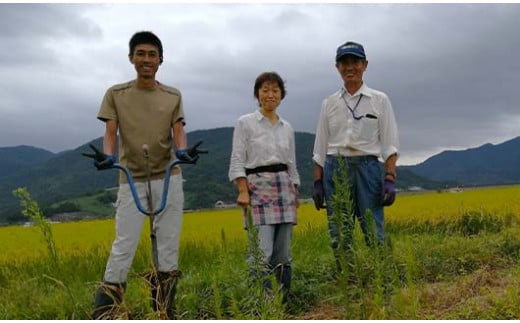 山形県南陽市のふるさと納税 【令和7年産 新米 先行予約】 【わら屋のお米】 特別栽培米 ひとめぼれ 5kg 《令和7年10月下旬～発送》 『おがわ藁農園』 米 白米 精米 ご飯 農家直送 山形県 南陽市 [2070-R7]