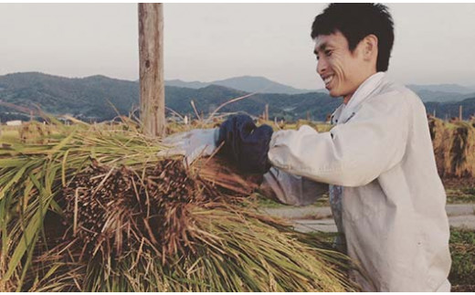 山形県南陽市のふるさと納税 【令和7年産 新米 先行予約】 【わら屋のお米】 特別栽培米 つや姫 5kg 《令和7年10月下旬～発送》 『おがわ藁農園』 米 白米 精米 ご飯 農家直送 山形県 南陽市 [2167-R7]