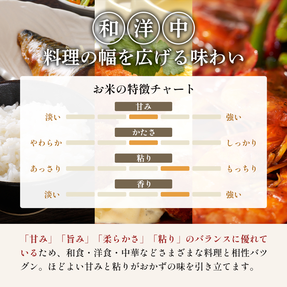 令和7年産 【 定期便 6回】 ひとめぼれ 5kg×2袋 ×6ヵ月(計60kg) 宮城県大河原町産 米 お米 精米 白米 令和7年 宮城県産