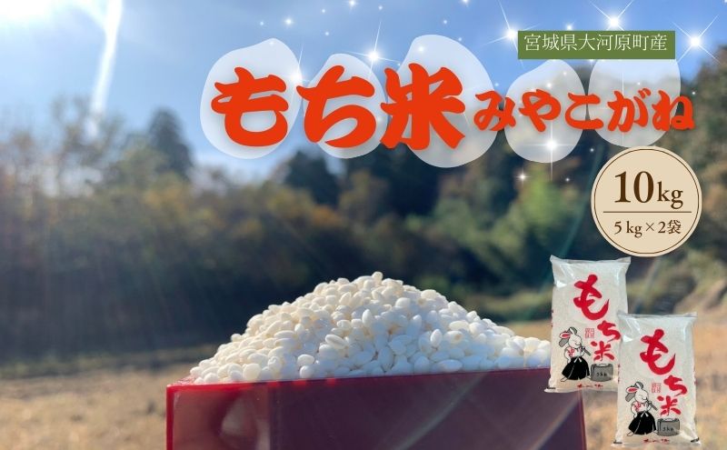 令和7年産 宮城県大河原町産 みやこがね 10kg ( 5kg × 2袋 ) もち米 餅米  こめ コメ モチ もち もち米 お餅 餅 令和7年 宮城県産