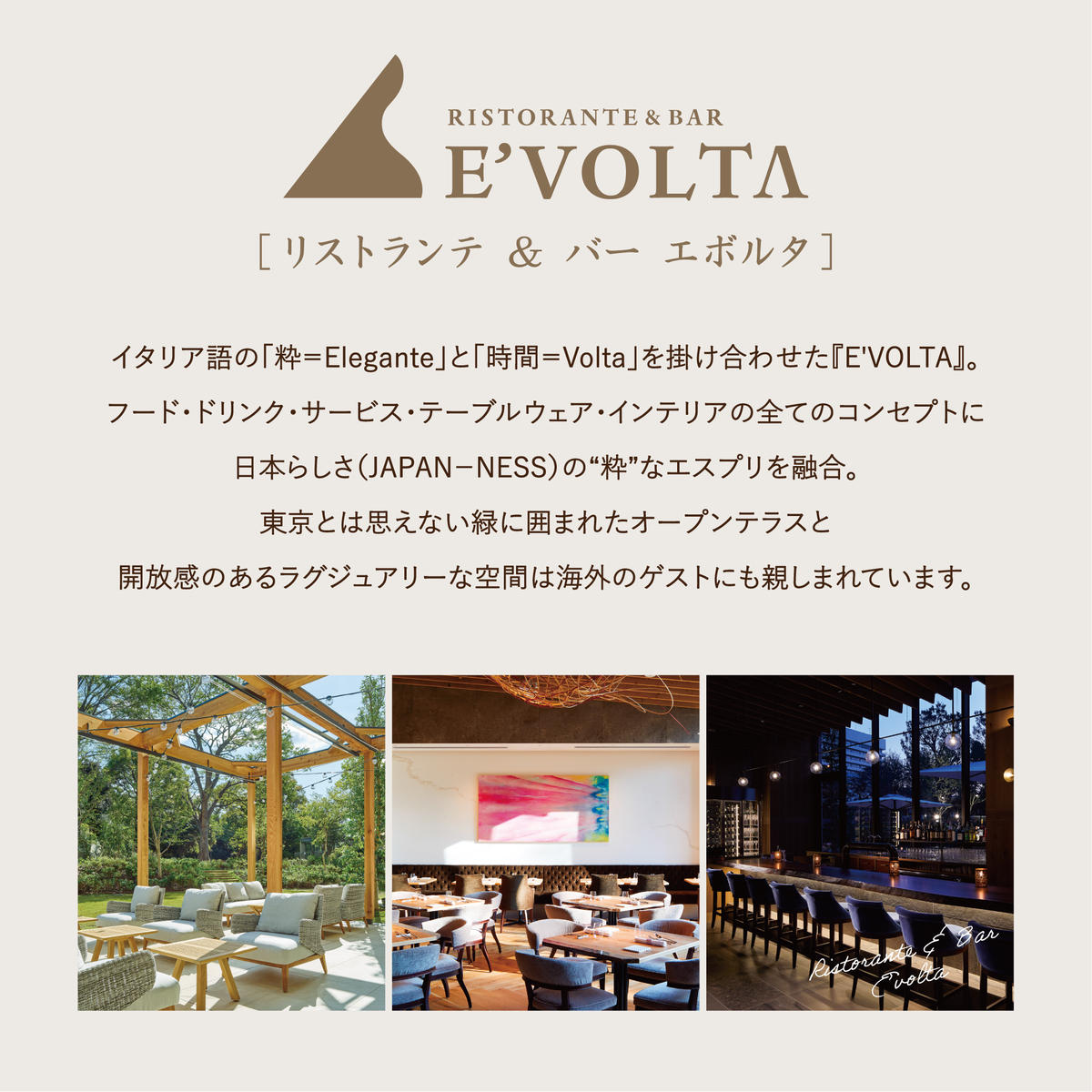 茨城県行方市のふるさと納税 AP-3 RISTORANTE&BAR　EVOLTAで行方市を味わう【スペシャルランチコース+ワンドリンク】ペアチケット1枚
