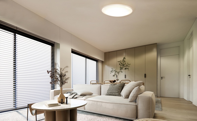 照明 LEDシーリングライト 12畳調光 クリアフレーム CEA12D-5.0QCF シーリングライト リモコン おしゃれ 12畳 アイリスオーヤマ 電気 LED シーリング リビング 子供部屋 調光 リモコン付 和室 台所 天井照明 シンプル 一人暮らし 新生活