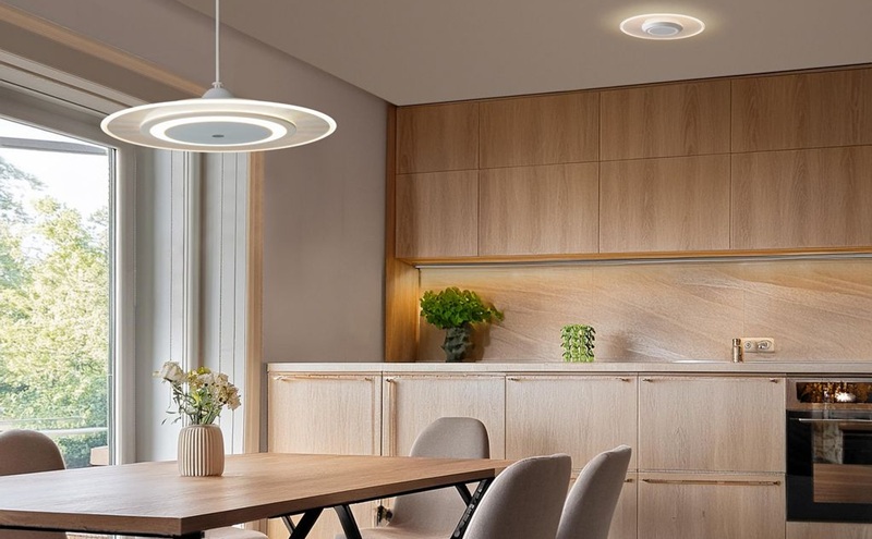 照明 LEDペンダントライト パネルライト 温白色 PLP6D-WW ホワイト アイリスオーヤマ ペンダントライト led 6畳 ダイニング リモコン付き 照明 おしゃれ 寝室 照明器具 吊り下げ シンプル ライト 明るい 取付 簡単 和室 新生活