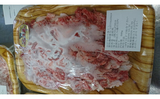 近江牛二種セット【1kg（赤身スライス500ｇ、切り落とし500ｇ）】【AC13W】
