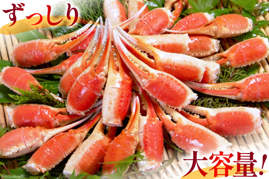 宮城県気仙沼市のふるさと納税 リピーター続出！ 本ずわいがに爪 約700g [カネダイ 宮城県 気仙沼市 20564321] 蟹 かに カニ ずわいがに ズワイガニ ずわい蟹 ズワイ蟹 ずわい ズワイ 蟹 カニ爪 蟹爪 カニ爪肉 つめ 爪 ボイル
