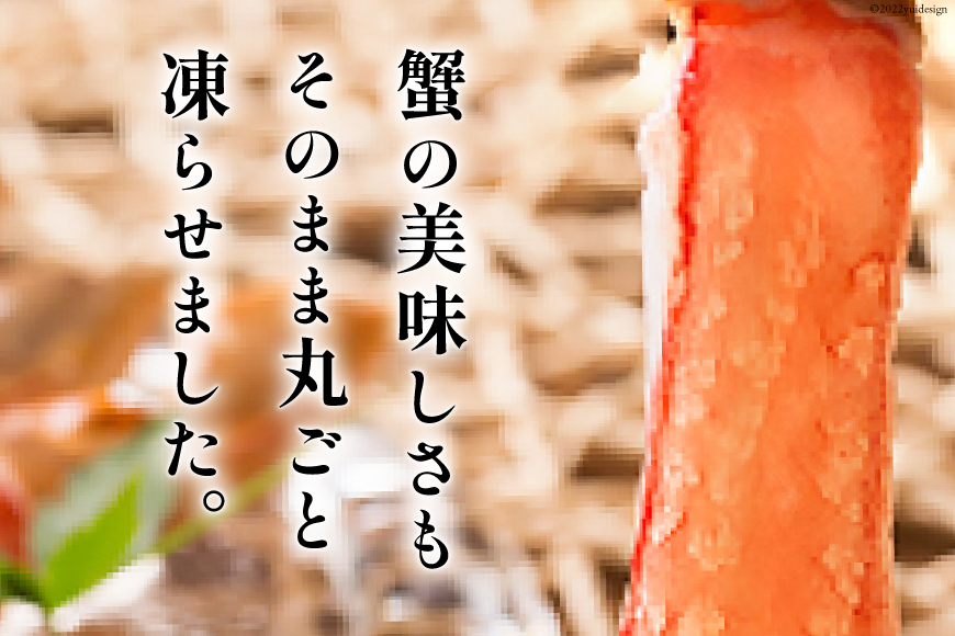 宮城県気仙沼市のふるさと納税 生本ずわいがに 棒肉 ポーション 20～30本入 総重量 約500g [カネダイ 宮城県 気仙沼市 20564322] むき身 カニ かに 生 ずわいがに ズワイガニ ずわい蟹 ズワイ蟹 蟹 カニ カニ脚 蟹脚 カニ棒肉 カニ 蟹