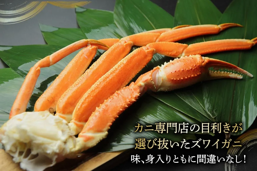 宮城県気仙沼市のふるさと納税 訳あり ボイル ずわいがに 肩付き脚 総重量1kg [カネダイ 宮城県 気仙沼市 20564325] カニ かに 魚介類 ズワイガニ ずわい蟹 ズワイ蟹 ずわい ズワイ 蟹 カニ カニ脚 蟹脚 不揃い 規格外 海鮮 ご褒美