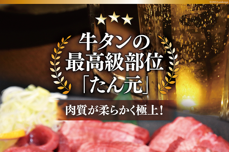 宮城県気仙沼市のふるさと納税 大人気！ 牛タン 厚切り牛タン 塩味 500g [モ～ランド 宮城県 気仙沼市 20564659] 肉 牛肉 精肉 牛たん 牛タン塩 牛たん塩 冷凍 焼肉 BBQ アウトドア バーベキュー 厚切り タン