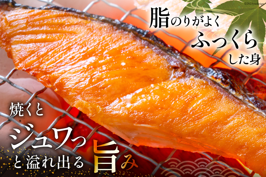 宮城県気仙沼市のふるさと納税 訳あり 銀鮭 切身 約3kg [宮城東洋 宮城県 気仙沼市 20564992] 鮭 魚介類 海鮮 訳アリ 規格外 不揃い さけ サケ 鮭切身 シャケ 切り身 冷凍 家庭用 おかず 弁当 支援 サーモン 銀鮭切り身 魚 わけあり