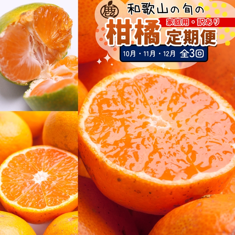 【定期便】家庭用 柑橘定期便 SS 3回（10～12月）※北海道・沖縄・離島への配送不可※10月・11月・12月に発送