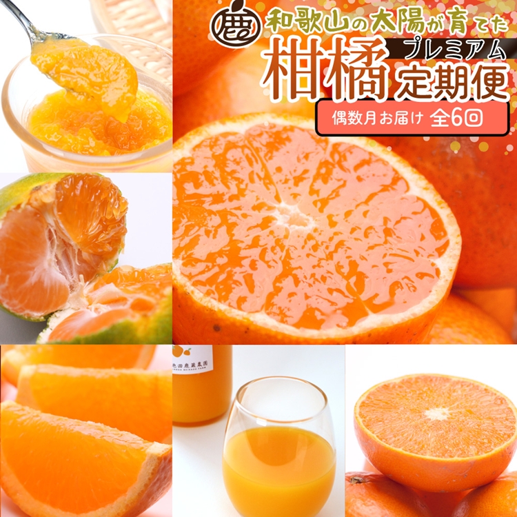 【定期便】厳選 柑橘定期便 S 6回（偶数月）※北海道・沖縄・離島への配送不可※偶数月に発送