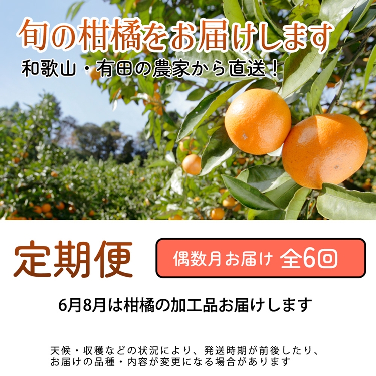 【定期便】厳選 柑橘定期便 S 6回（偶数月）※北海道・沖縄・離島への配送不可※偶数月に発送