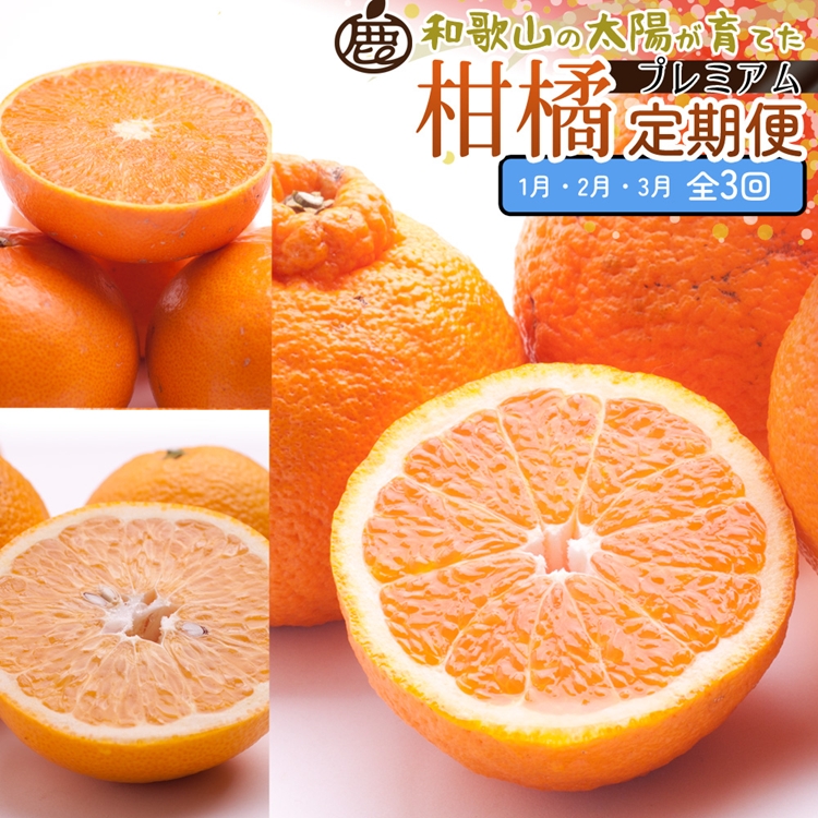【和歌山県美浜町】【定期便】厳選 柑橘定期便 S 3回(1〜3月)※北海道・沖縄・離島への配送不可※1月・2月・3月に発送
