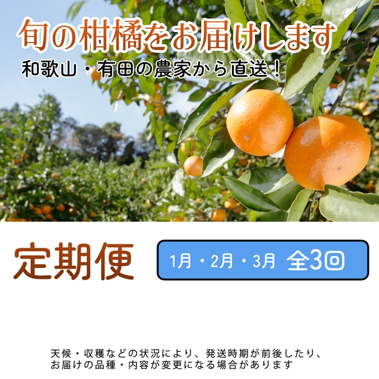 【定期便】厳選 柑橘定期便 S 3回（1～3月）※北海道・沖縄・離島への配送不可※1月・2月・3月に発送
