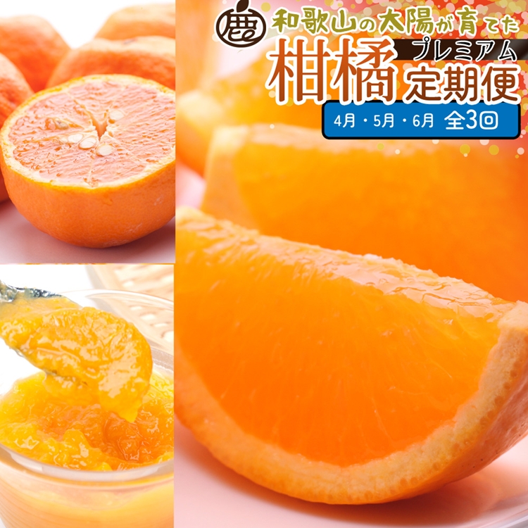 【和歌山県美浜町】【定期便】厳選 柑橘定期便 S 3回(4〜6月)※北海道・沖縄・離島への配送不可※4月・5月・6月に発送