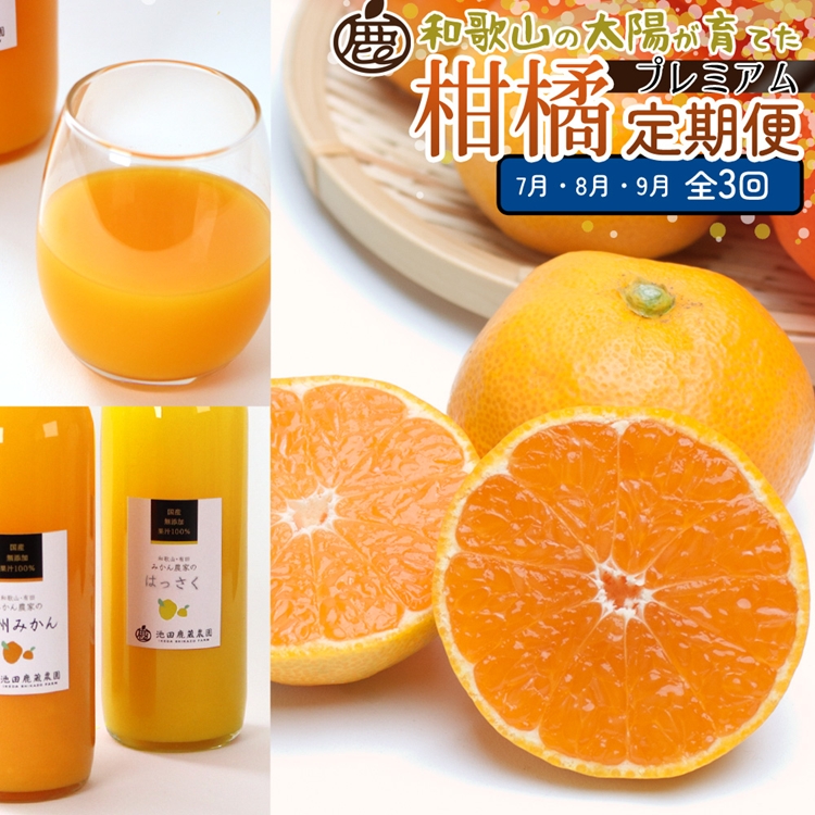 【定期便】厳選 柑橘定期便 S 3回（7～9月）※北海道・沖縄・離島への配送不可※7月・8月・9月に発送