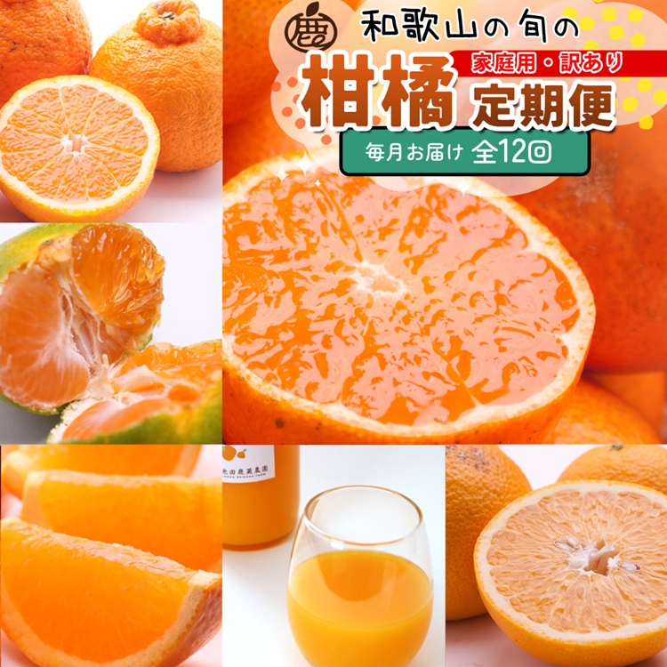 【和歌山県美浜町】【定期便】家庭用 柑橘定期便 S 12回(毎月)※北海道・沖縄・離島への配送不可※毎月発送