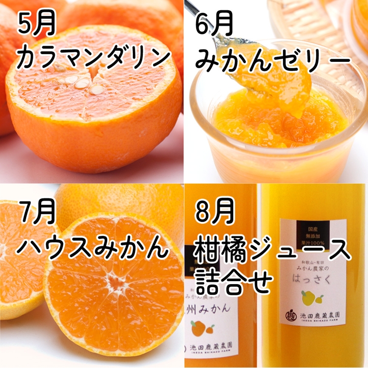 【定期便】家庭用 柑橘定期便 S 12回（毎月）※北海道・沖縄・離島への配送不可※毎月発送