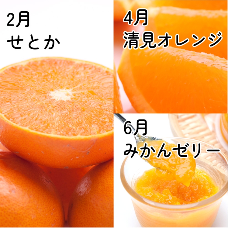 【定期便】家庭用 柑橘定期便 S 6回（偶数月）※北海道・沖縄・離島への配送不可※偶数月に発送