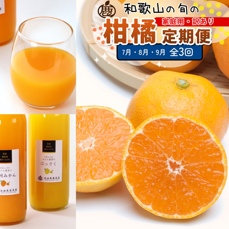 【和歌山県美浜町】【定期便】家庭用 柑橘定期便 S 3回(7〜9月)※北海道・沖縄・離島への配送不可※7月・8月・9月に発送