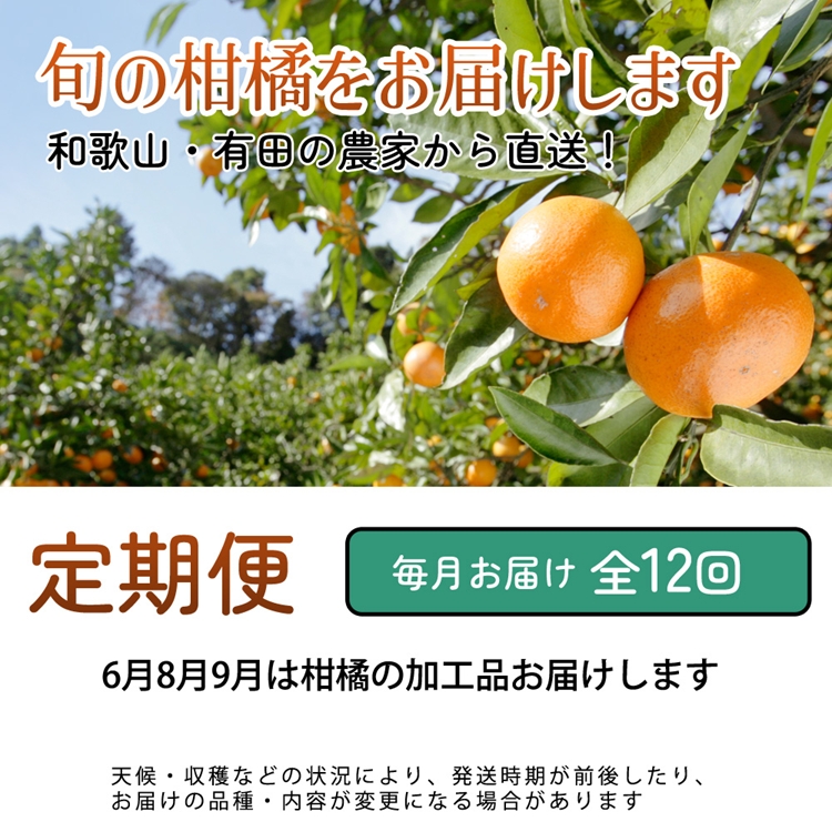 【定期便】厳選 柑橘定期便 M 12回（毎月）※北海道・沖縄・離島への配送不可※毎月発送